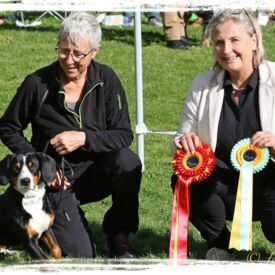 Rassebeste und Best in Show